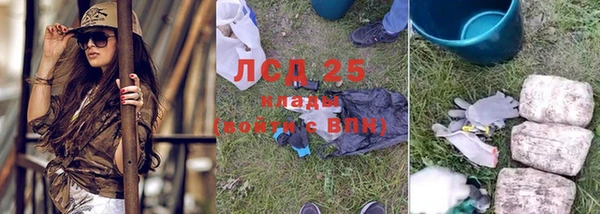 ПСИЛОЦИБИНОВЫЕ ГРИБЫ Баксан