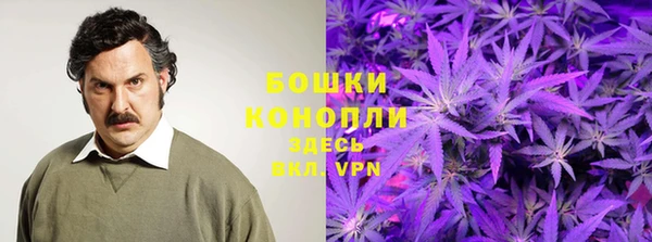 ПСИЛОЦИБИНОВЫЕ ГРИБЫ Баксан